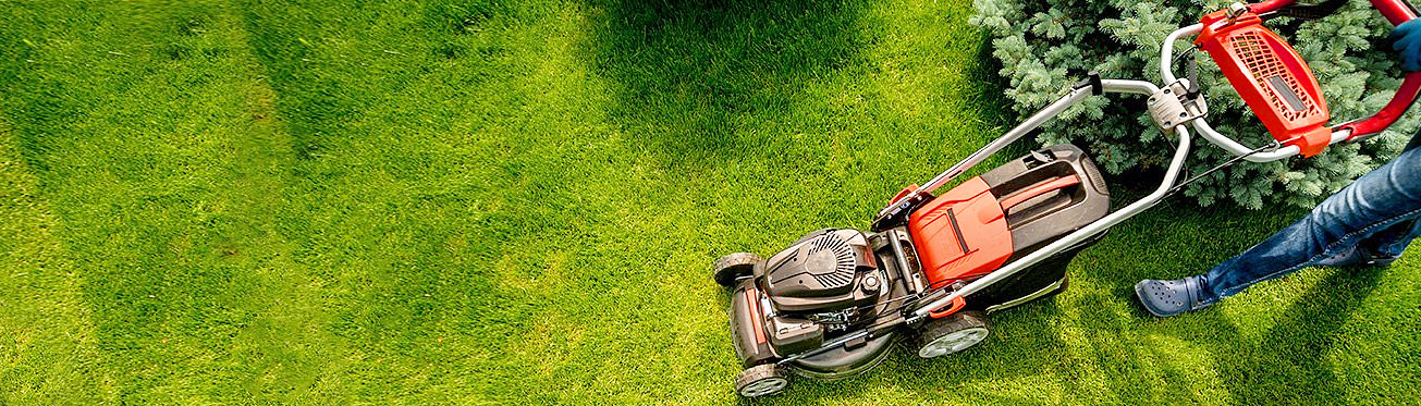 какую газонокосилку выбрать