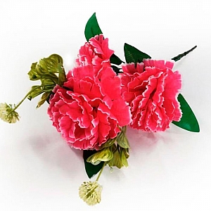 Букет ритуальный №82 Гвоздика с клевером. Изображение - 4