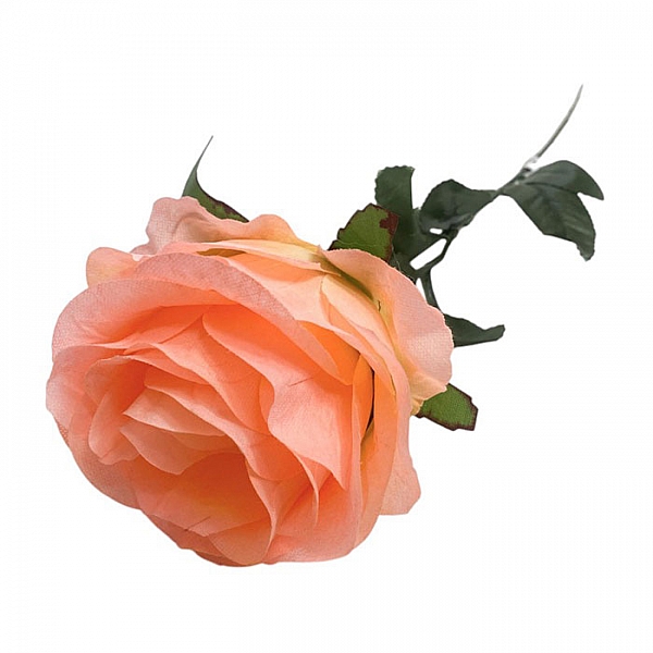 Цветок ритуальный Маркиза С16 персиковый