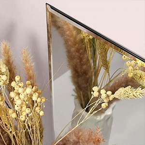 Зеркало Алмаз-Люкс 8с-С/043 с фацетом 1000*500 мм. Изображение - 1