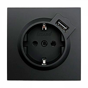 Розетка комбинированная Lezard Zima 704-4288-181 1 место с заземлением с USB платина черный бархат