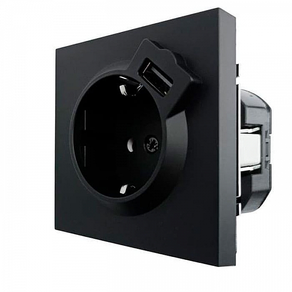 Розетка комбинированная Lezard Zima 704-4288-181 1 место с заземлением с USB платина черный бархат