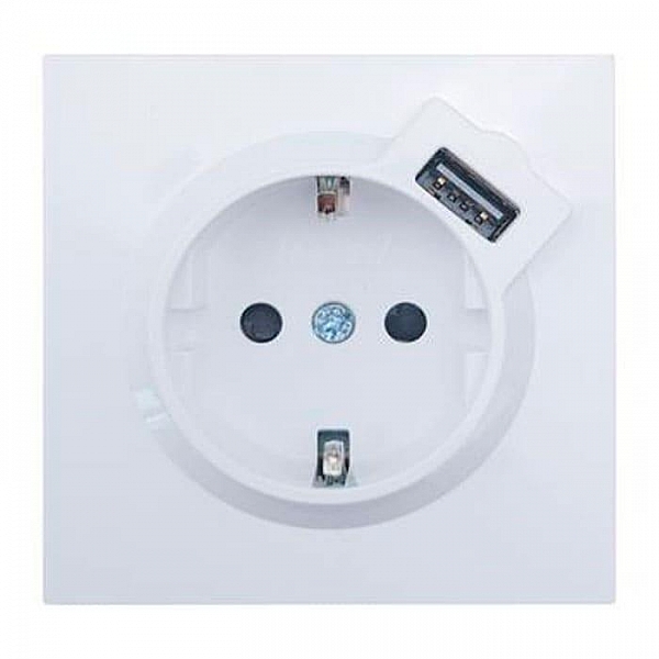 Розетка комбинированная Lezard Zima 704-0288-181 1 место с заземлением с USB белая