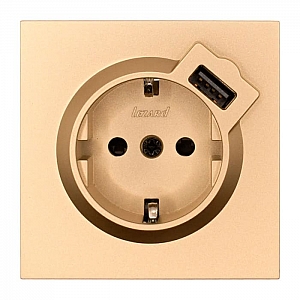 Розетка комбинированная Lezard Zima 704-3688-181 1 место с заземлением с USB золото
