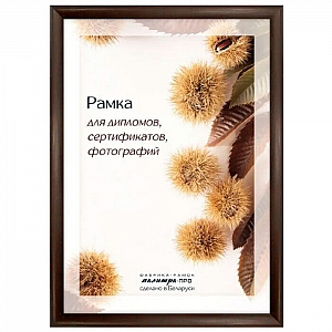 Рамка деревянная Палитра Про Д14КЛО/1246 со стеклом 21*30 см коричневая