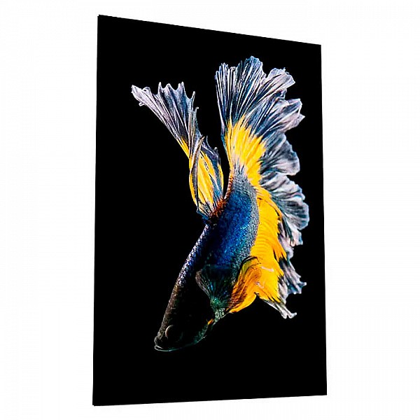 Картина на стекле ArtaBosko Бойцовая рыбка 3 WB-02-65-04 40*60 см