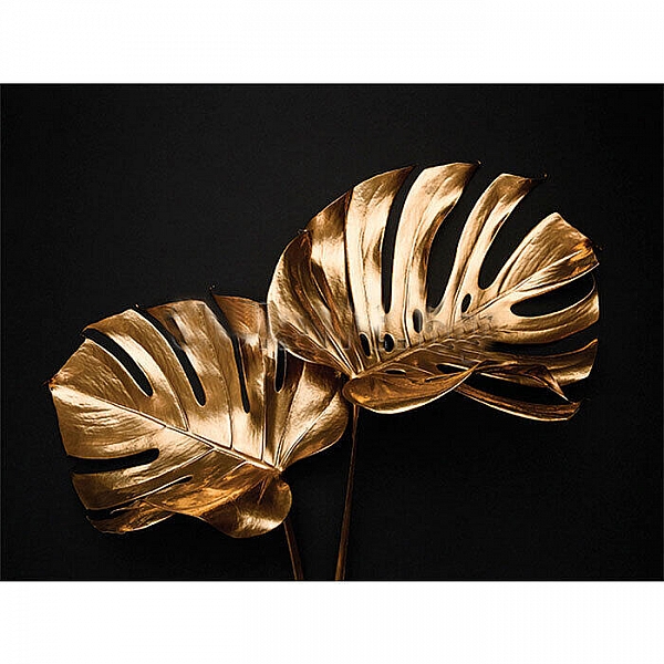 Репродукция Декарт 8С0541 30*40 см