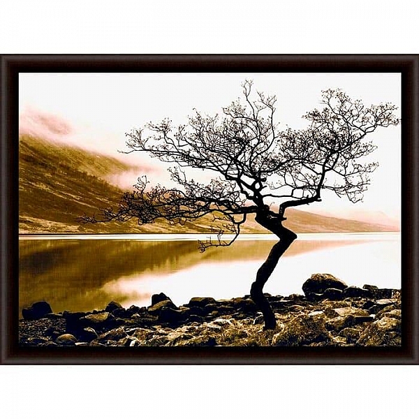 Репродукция Декарт 8С0415 50*70 см