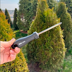 Отвертка двухсторонняя Deli HT1055 Home Series Black SL5+PH1. Изображение - 4