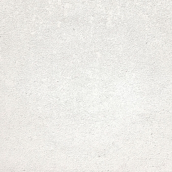 Обои Erismann Fashion for Wolls 12262-31