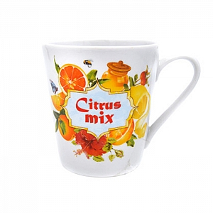 Кружка Добруш Классик Цитрусовый микс 8С1040Ф34 300 мл