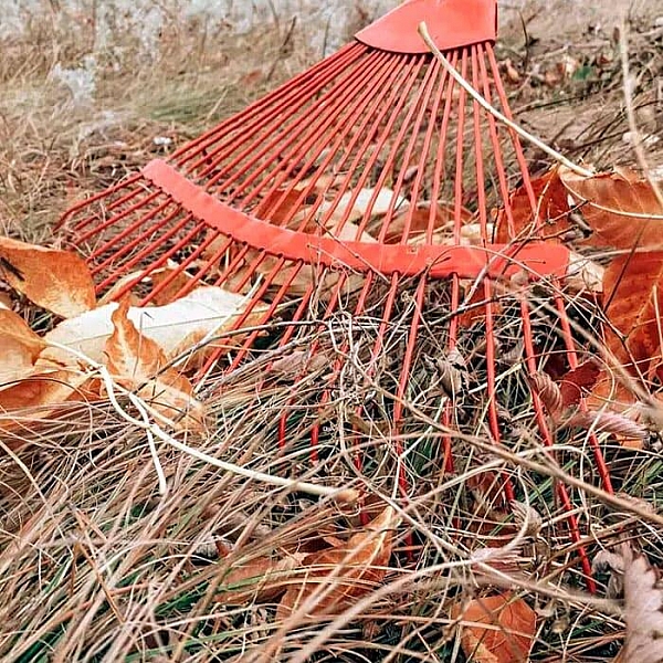 Грабли веерные 010802 проволочные