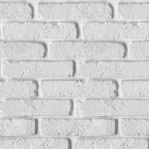 Панель ПВХ Europrofile 347 Белый кирпич 250*3000 мм. Изображение - 1