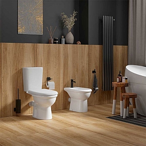 Компакт-унитаз Керамин Ареццо МС Инкоэр. Изображение - 5