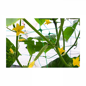 Сетка Bradas СВ220 для вьющихся растений пластиковая 15*17 см 2*20 м. Изображение - 2