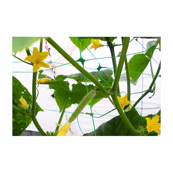 Сетка Bradas СВ17100 для вьющихся растений пластиковая 15*17 см 1.7*100 м