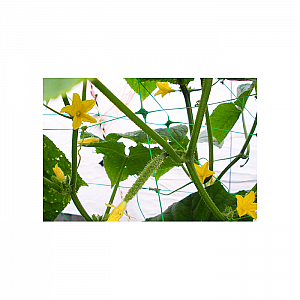 Сетка Bradas СВ210 для вьющихся растений пластиковая 15*17 см 2*10 м. Изображение - 1