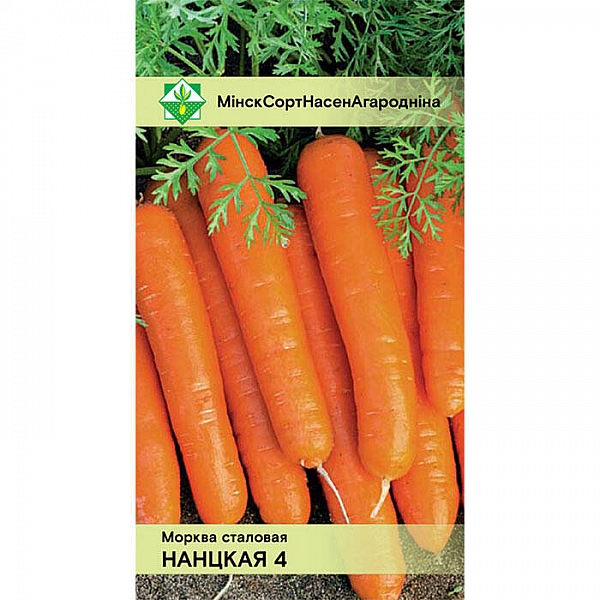 Морковь Нантская 4 столовая МинскСортСемОвощ 1.5 г