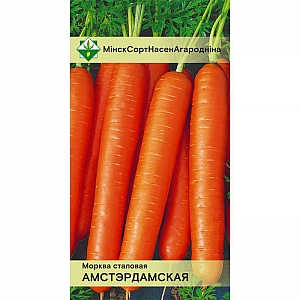 Морковь Амстердамская столовая МинскСортСемОвощ 1.5 г