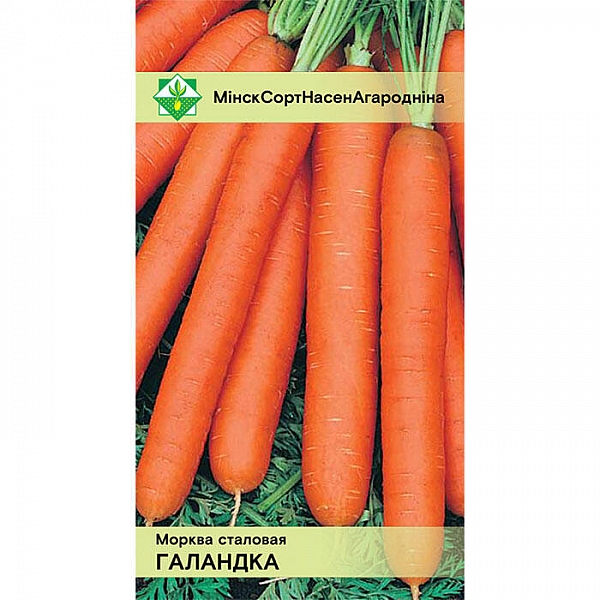 Морковь Голландка столовая МинскСортСемОвощ 1 г