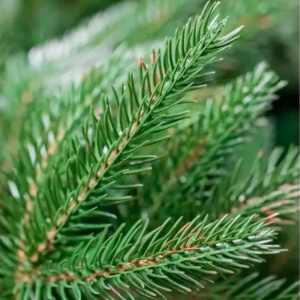 Ель искусственная Калядны час Альвина 150 см. Изображение - 1