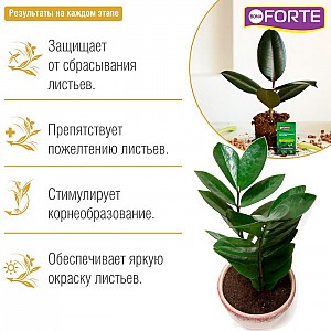 Удобрение Bona Forte Здоровье для декоративных растений 10 мл жидкое органо-минеральное. Изображение - 1