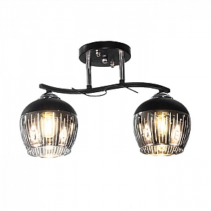 Светильник Айтин-Про НПБ 02-2*60-101 5004/2 черный/хром