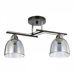 Светильник Айтин-Про НПБ 02-2*60-101 6098/2 черный/хром