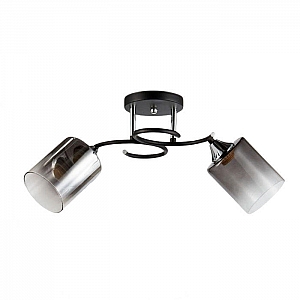 Светильник Айтин-Про НПБ 02-2*60-101 5014/2 черный/хром
