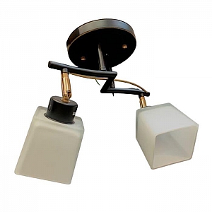 Светильник Айтин-Про НПБ 02-2*60-101 1338/2 черный/золото. Изображение - 1