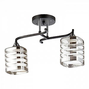 Светильник Айтин-Про НПБ 02-2*60-101 5023/2 черный/хром