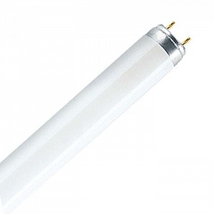 Лампа люминесцентная ETP T8/G13 36Вт 6500К 1200 мм