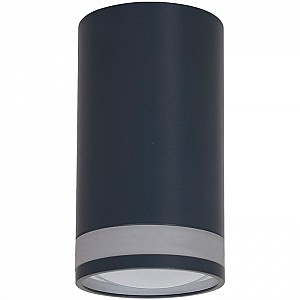 Светильник Truenergy Modern 21304 с матовым кольцом под лампу с цоколем GU10 D55*Н100 мм IP20 алюминий черный