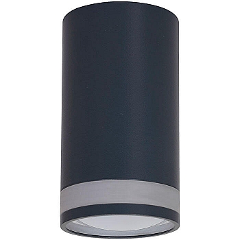Светильник Truenergy Modern 21304 с матовым кольцом под лампу GU10 D55*Н100 мм IP20 алюминий черный