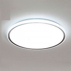 Светильник светодиодный Zhong Lighting Limited HY61322 2*60Вт серый. Изображение - 1