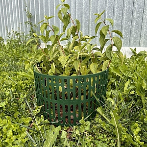 Защита деревьев Стандартпарк ЗСД-01.20(25).37-ПП 828116-З 10 шт. Изображение - 1