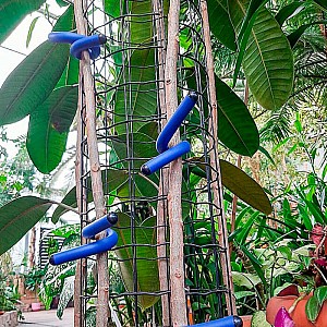 Набор гибких стяжек Чудесный сад BST-021.B синие 4*21.5 см 4 шт. Изображение - 1