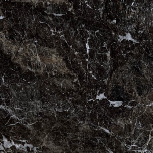 Керамогранит Грани Таганая Simbel GRS05-03 600*600 мм черно-белый. Изображение - 1