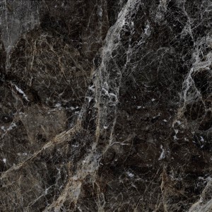 Керамогранит Грани Таганая Simbel GRS05-03 600*600 мм черно-белый. Изображение - 2