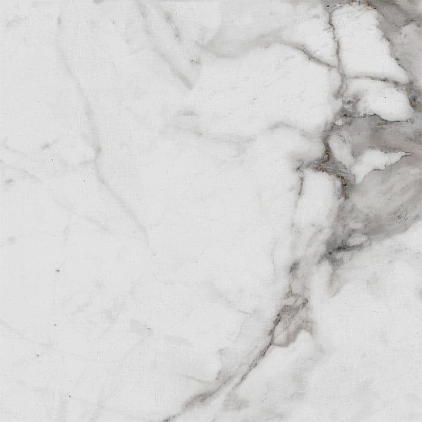 Керамогранит Royce Carrara Betria PR1005 600*600 мм polished