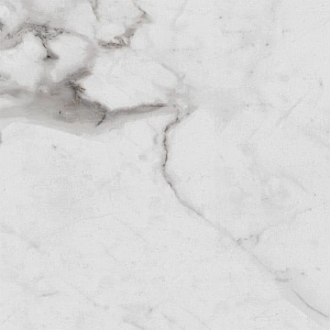 Керамогранит Royce Carrara Betria PR1005 600*600 мм polished. Изображение - 2