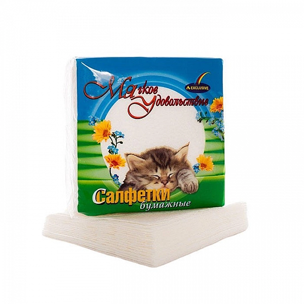 Салфетки бумажные Exclusive Мягкое удовольствие тисненые без рисунка однослойные белые 24*23 см 50 шт