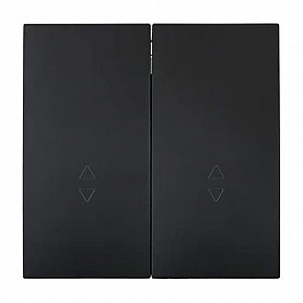 Выключатель проходной Lezard Zima 704-4288-106QC 2 клавиши безвинтовой черный бархат