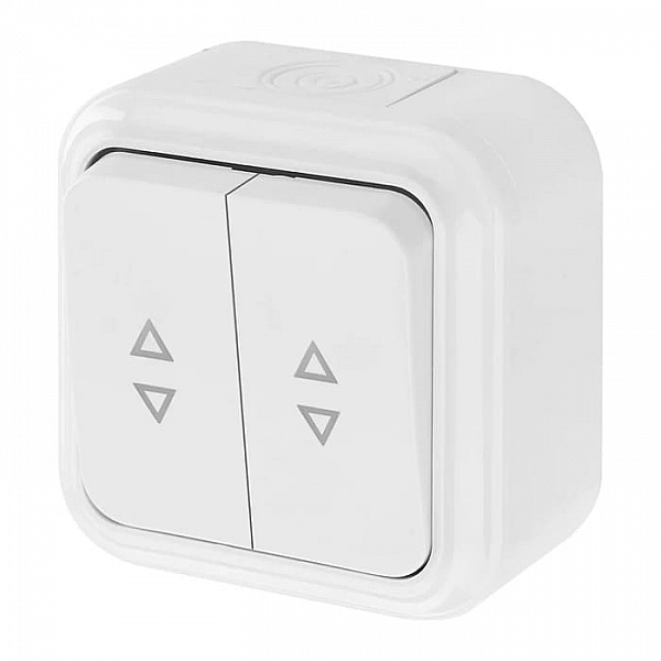 Выключатель проходной Bylectrica Пралеска А6+6 10-873 2 клавиши открытой установки белый