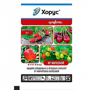 Фунгицид Syngenta Хорус ВДГ 4 г