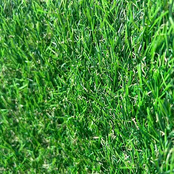Искусственная трава Bellinturf Jasmin 304 1 м