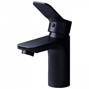 Смеситель AM.PM Brava F88A02122 черный