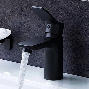 Смеситель AM.PM Brava F88A02122 черный. Изображение - 1