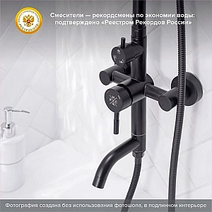 Душевая система РМС Д35 SUS124BL-009DK. Изображение - 2