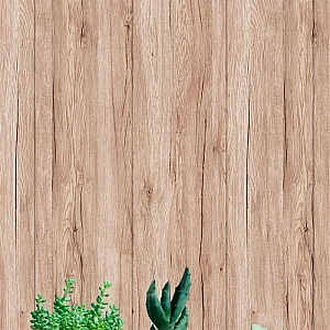 Панель МДФ Stella Classic Standart Дуб Сонома 6*200*2700 мм. Изображение - 5